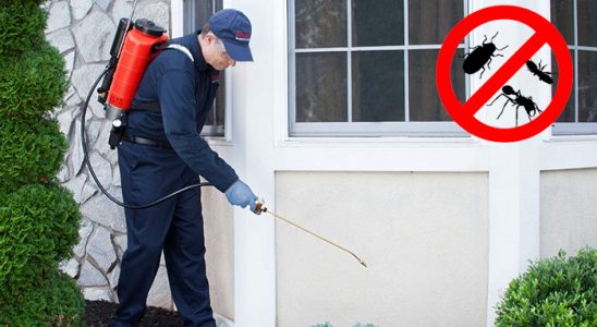 Evka 5 Tahtakurusu İlaçlama böcek ilaçlama ve haşere kontrolü — ilaclama-tr.com